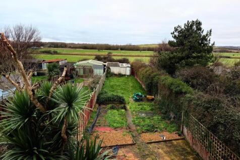 366 Bexhill Road garden.JPG