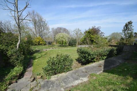 1 54 Carew Road - Communal Garden 1.JPG