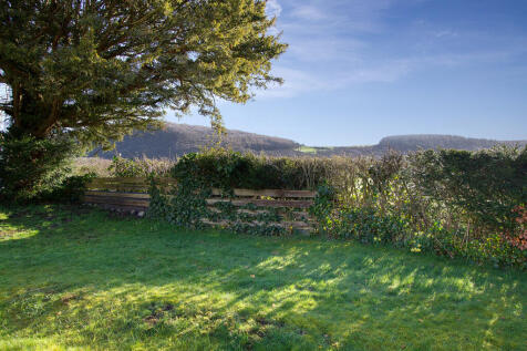 View from Garden