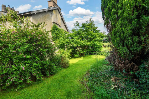 Side Garden