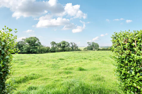 View From Garden