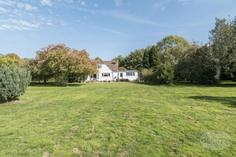 e38557eb-4c1b-45b...