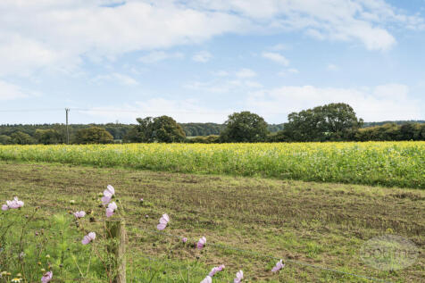 a7592ae9-ee41-45a...