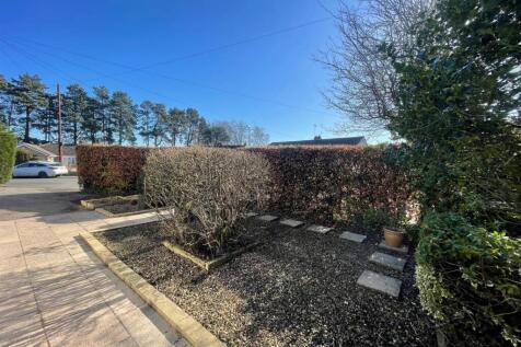 Front Garden 2.jpg