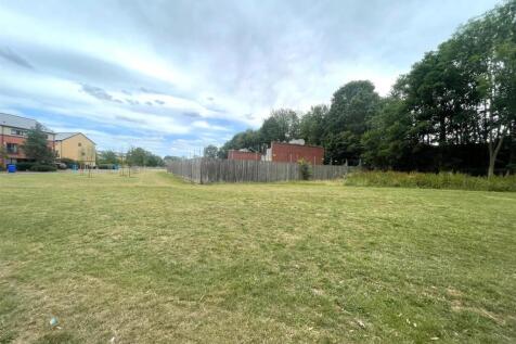 Playing Field.jpg