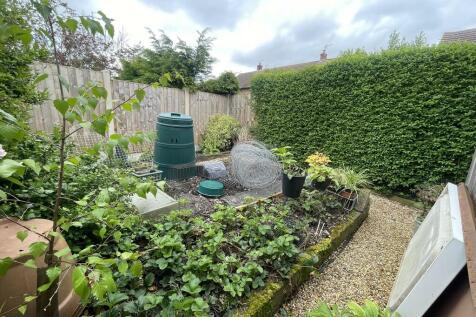 Vegetable Patch G...
