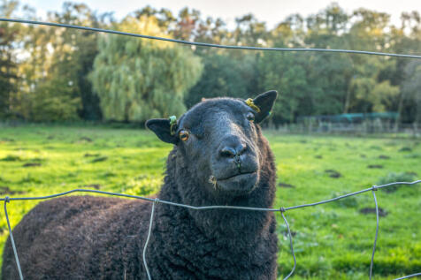 1370890-12-68fe4a...