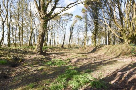 Wooded Area