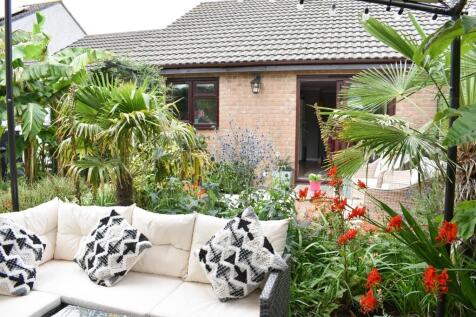 Rear Decked Area