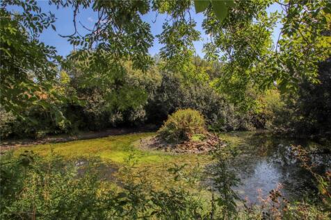 Pond