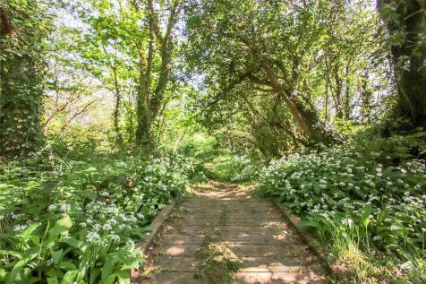 Woodland
