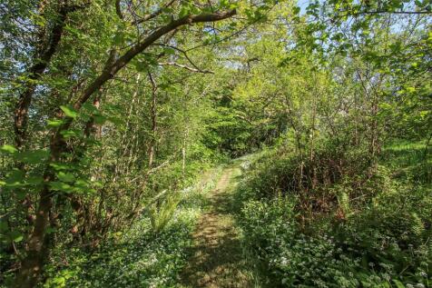 Woodland