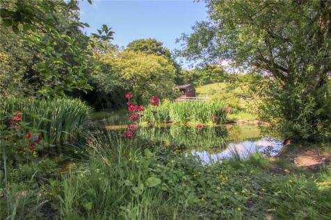 Pond