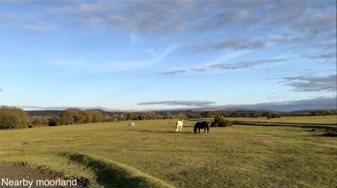 Nearby Moorland