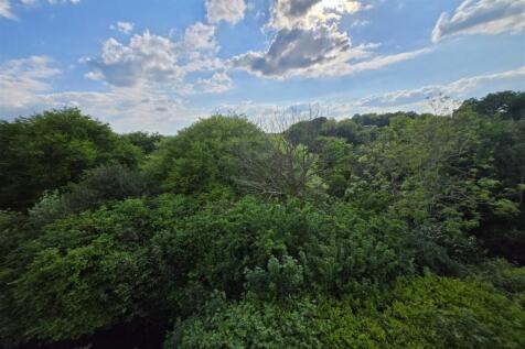 View From Balcony
