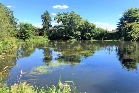 Pond 