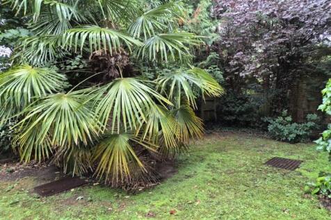 Communal Garden