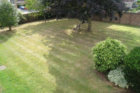 Communal Garden View