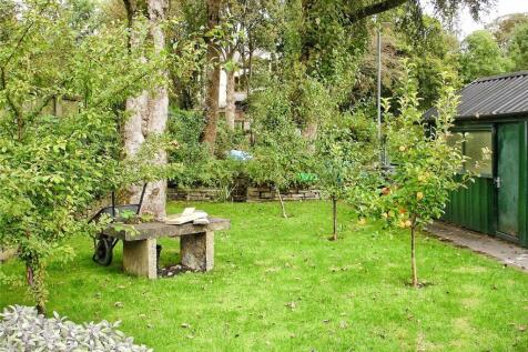 Rear Gardens
