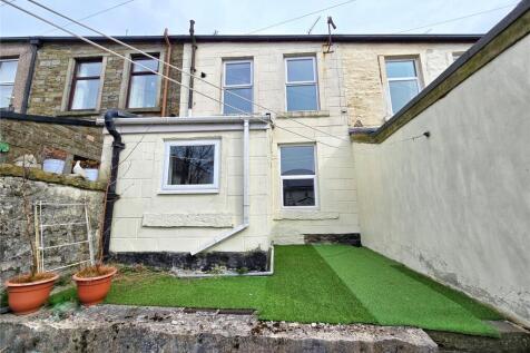 Rear Patio Garden