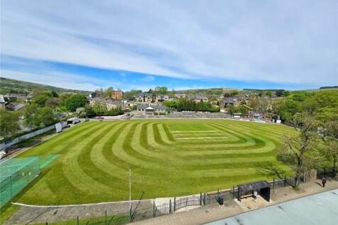 Cricket Field View