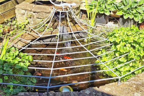 Fish Pond