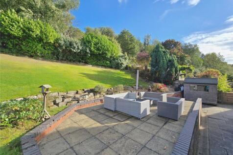 Patio &amp; Lawn