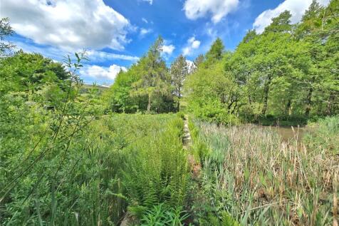 Large Mill Pond
