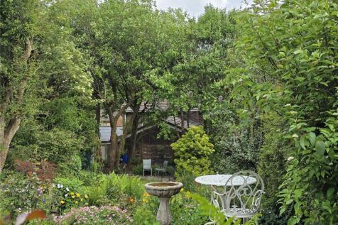 Lush Green Garden