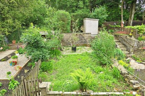 Rear Lawn