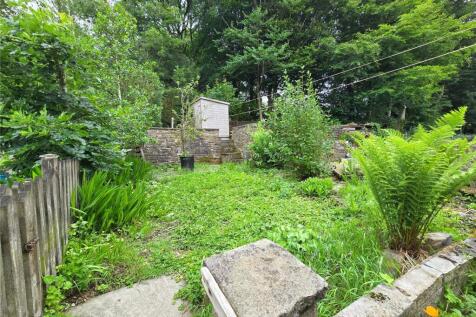 Rear Lawn