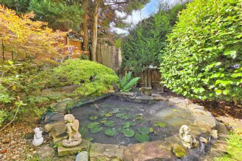 Feature Pond