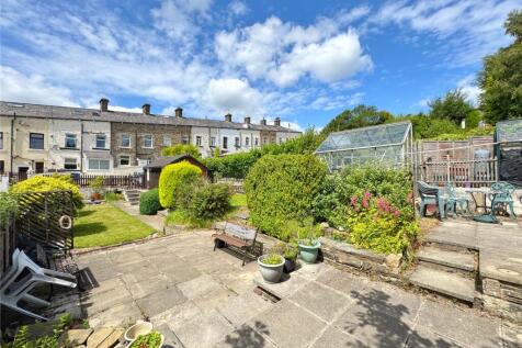 Patio &amp; Lawn