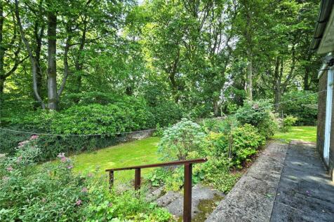 Rear Garden Views