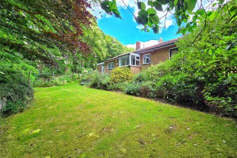 Rear Gardens