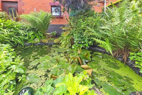 Pond