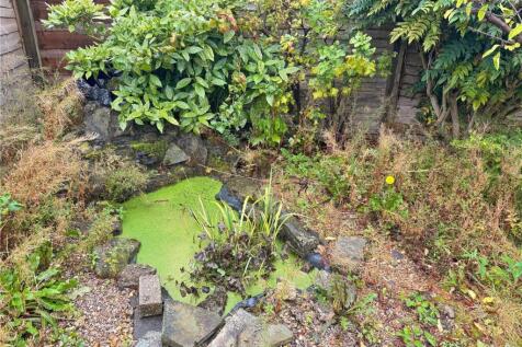 Pond