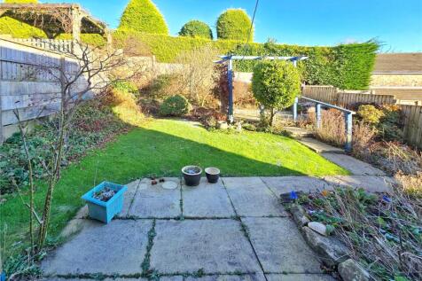 Patio &amp; Lawn Garden