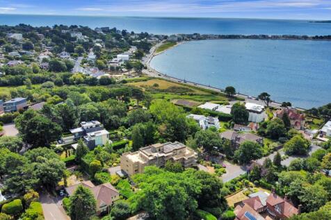 dji_fly_20230719_111814_170_1689761908006_photo_op