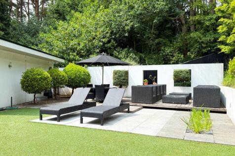 Back Garden