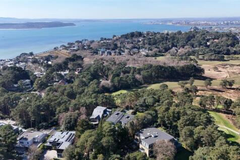 DJI_20250320125718_0442_D.JPG