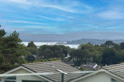 View Shot