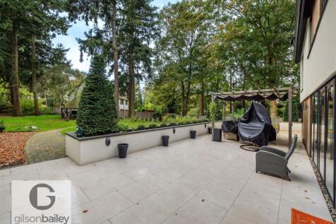 31Littlewood-7.jpg