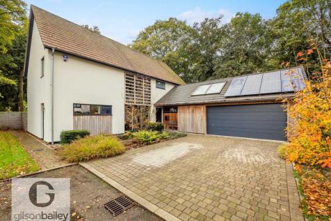 31Littlewood-26.jpg