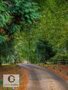 31Littlewood-98.jpg