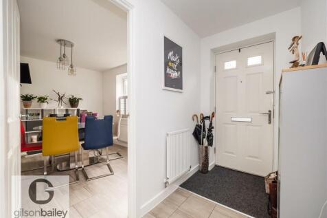 7GreylagClose-34.jpg