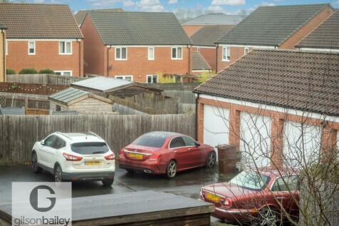 7GreylagClose-55.jpg