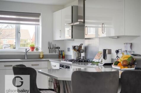 7GreylagClose-49.jpg