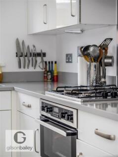 7GreylagClose-54.jpg