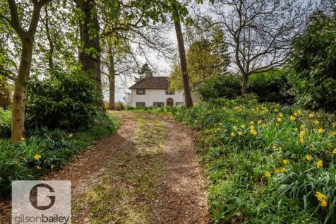 17HillyPlantation-73.jpg
